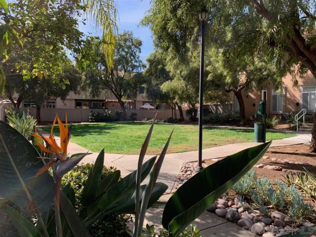 a view of a swimming pool with lounge chairs
