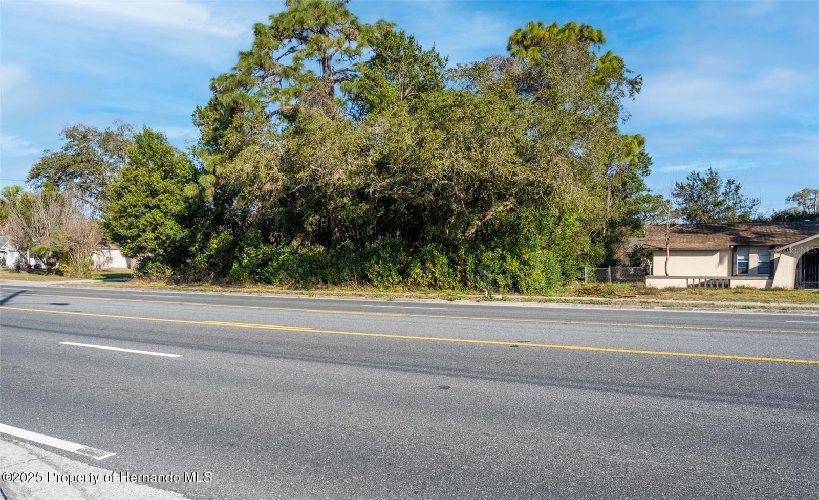 0 Spring Hill Drive Spring Hill, FL 34608 - Photo 1 of 20