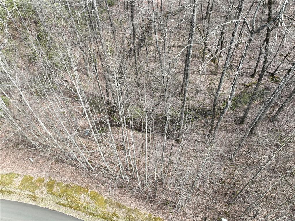 64 St. Andrews Way Jasper, GA 30143 - Photo 4 of 19