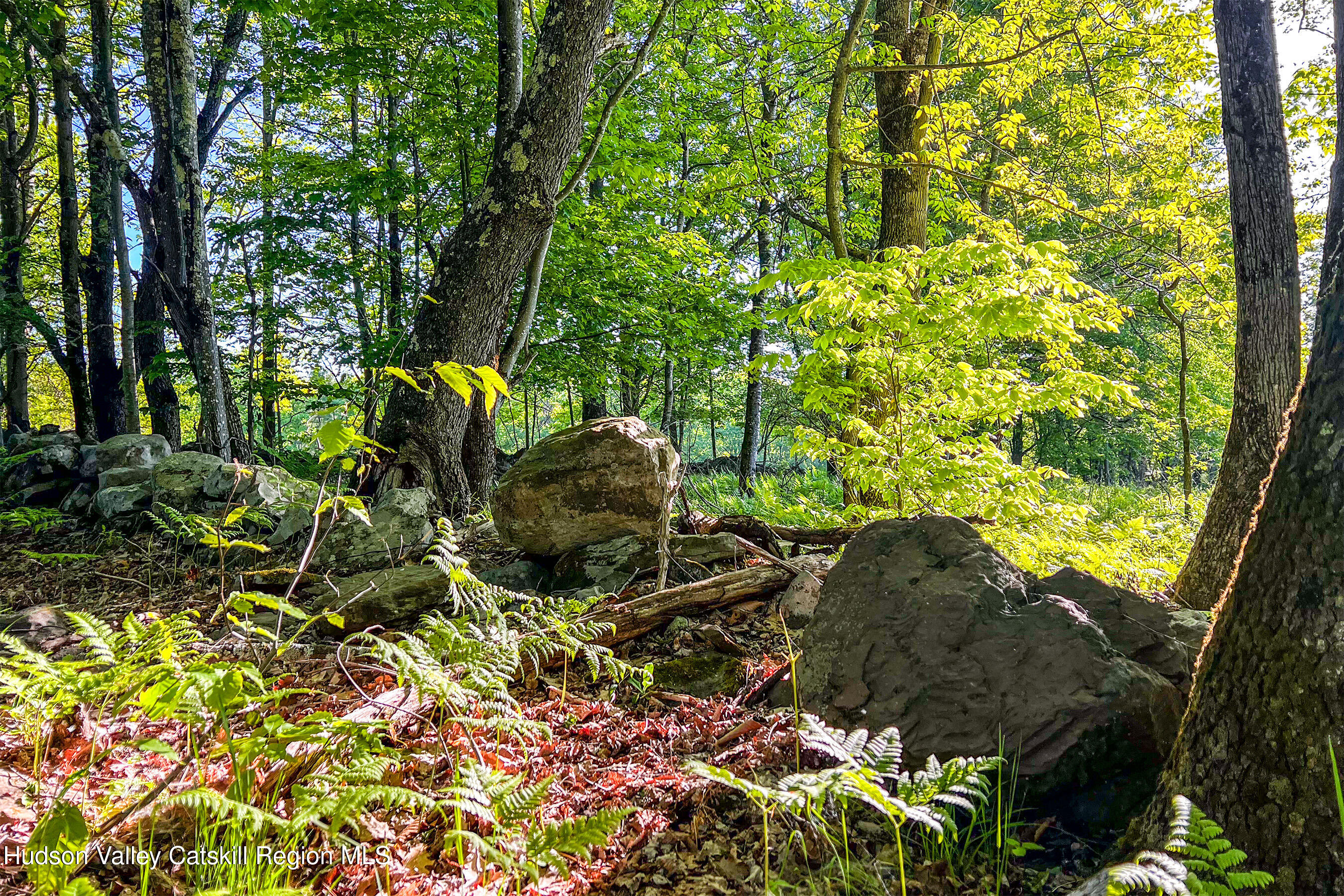 0 Frank Slawson Road Oneonta, NY 13820 - Photo 24 of 29 IMG_3436-Edit