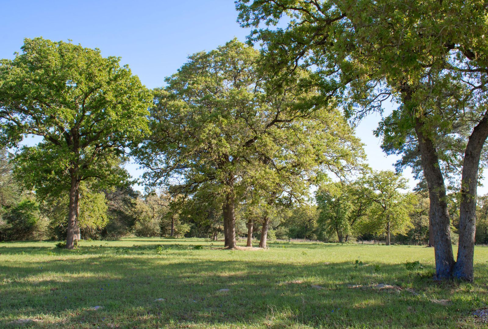 490 John Craft Road Red Rock, TX 78662 - Photo 22 of 40