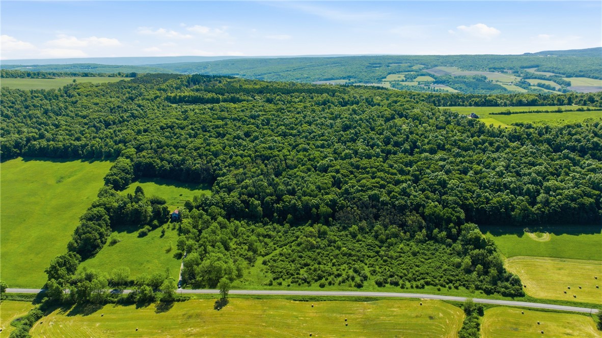 4140 Decamp Road Tyrone, NY 14837 - Photo 14 of 50