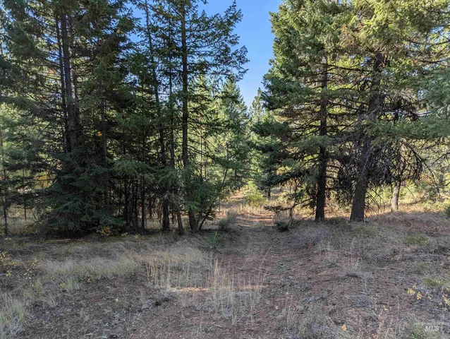 $350,000 | Tbd Harrington Place, McCall, ID 83638
