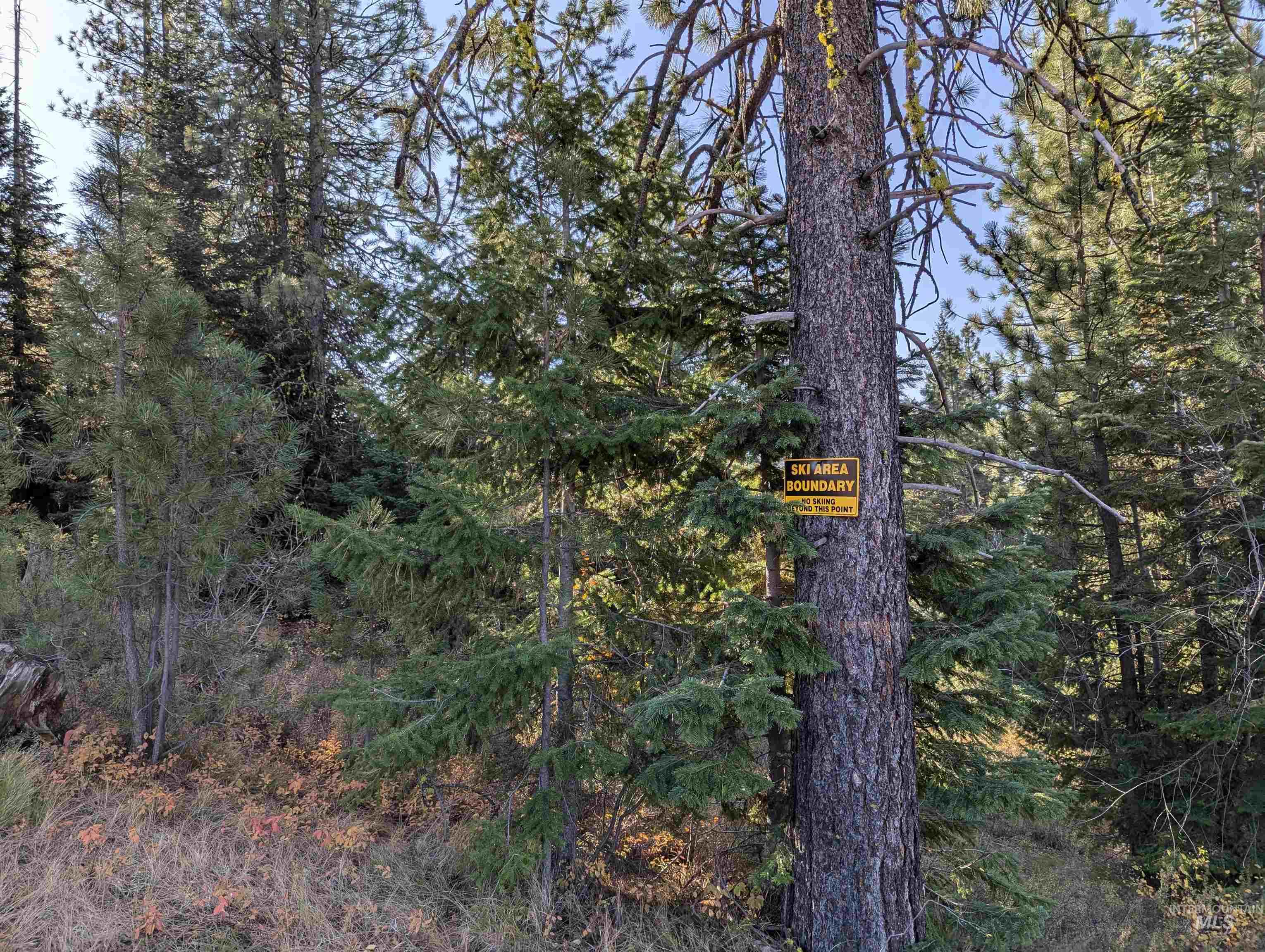 Tbd Harrington Place McCall, ID 83638 - Photo 3 of 6