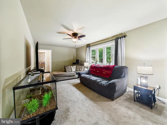 a living room with furniture rug and window