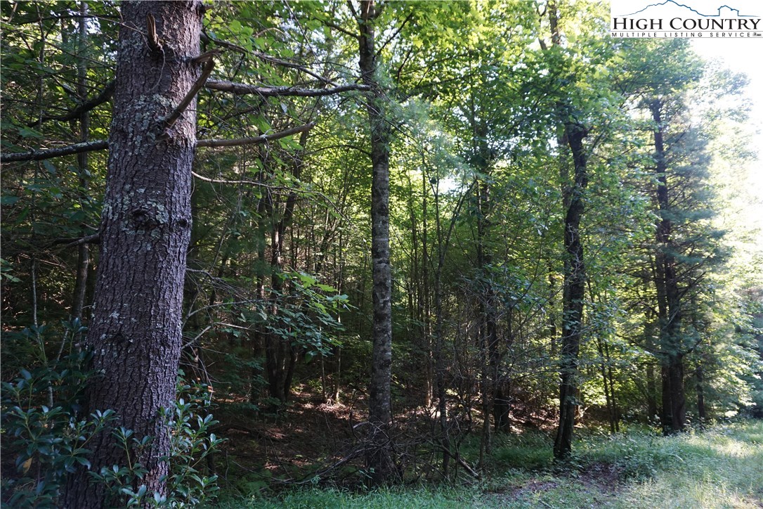 Ore Valley Road Laurel Springs, NC 28644 - Photo 1 of 6 Gallery Image 1