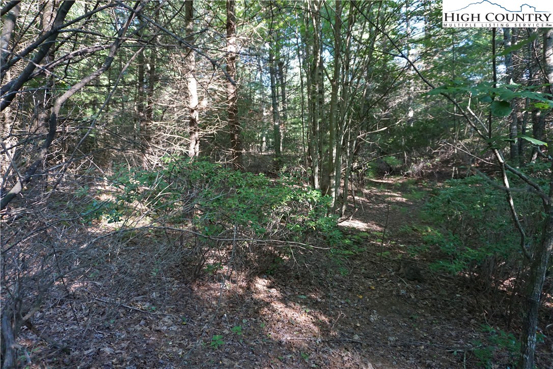 Ore Valley Road Laurel Springs, NC 28644 - Photo 2 of 6 Gallery Image 2