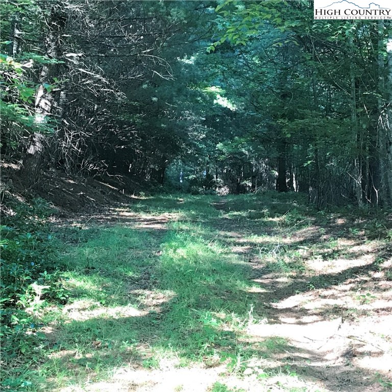 Ore Valley Road Laurel Springs, NC 28644 - Photo 3 of 6 Gallery Image 3