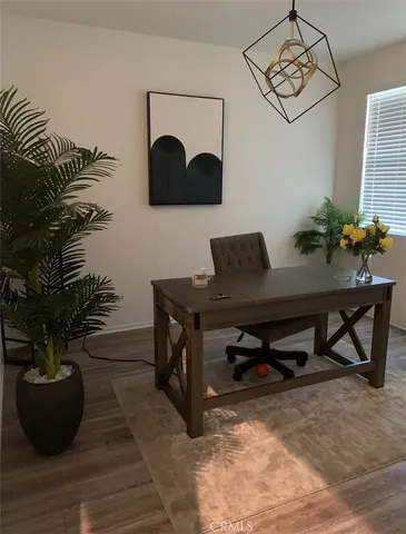a living room with furniture potted plant and a lamp