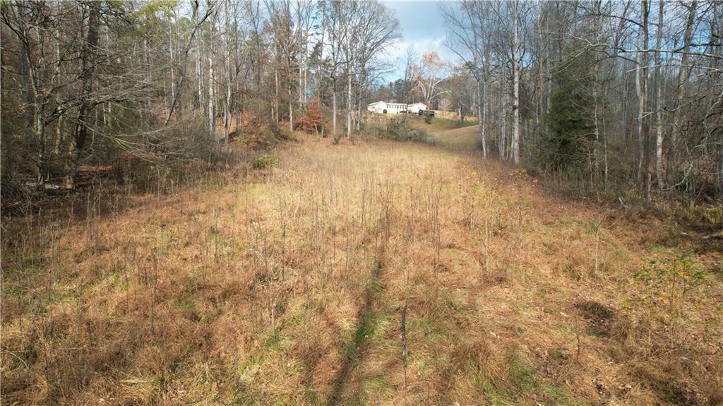 0 Blackburn Tract 3a Road Dawsonville, GA 30534 - Photo 12 of 25 a view of yard with trees
