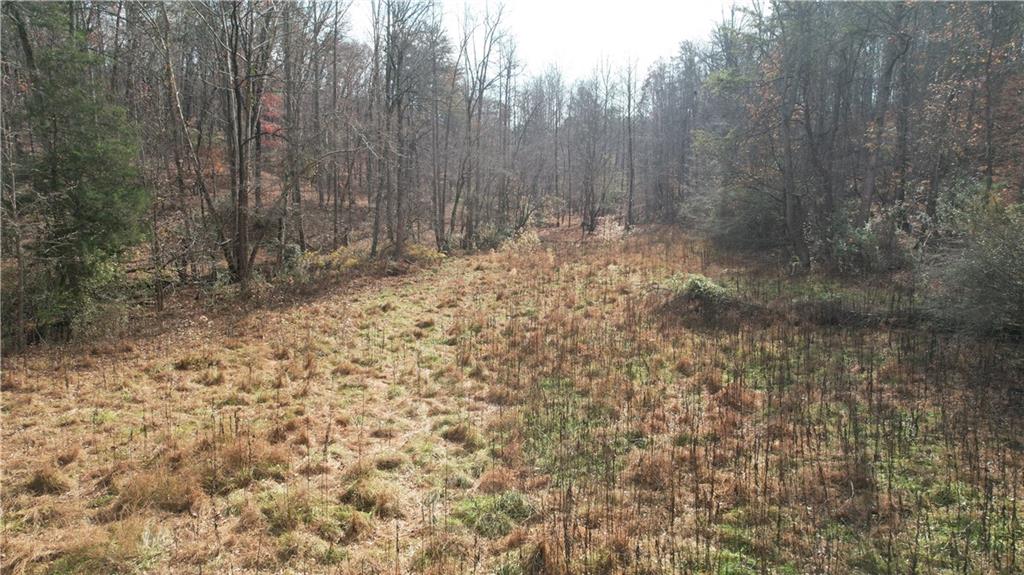 0 Blackburn Tract 3a Road Dawsonville, GA 30534 - Photo 14 of 25 a view of a yard with trees