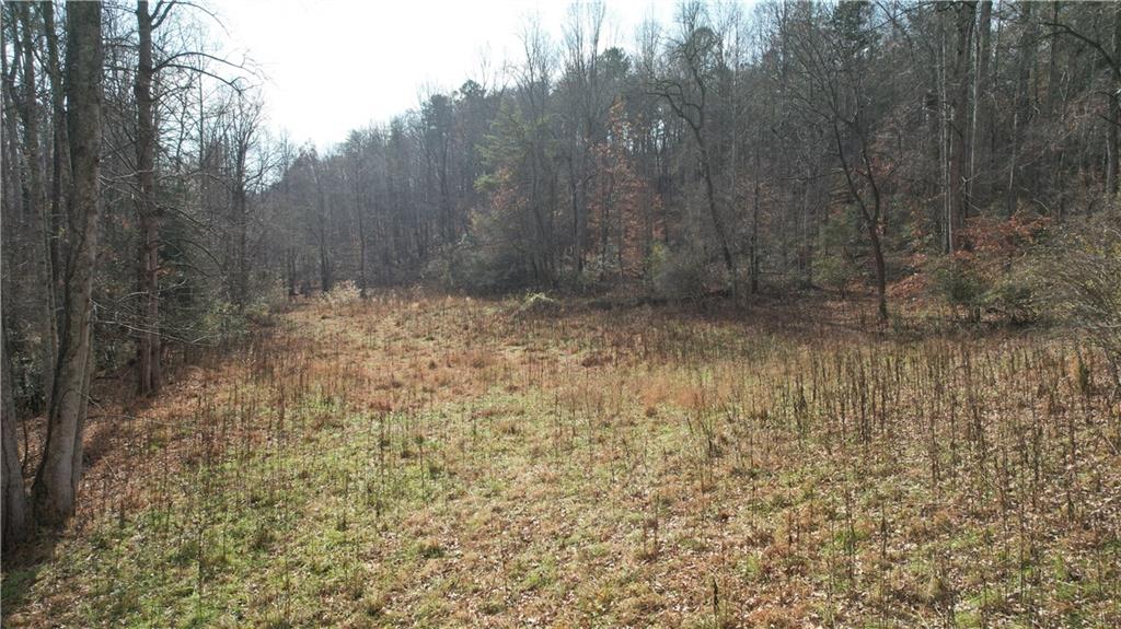 0 Blackburn Tract 3a Road Dawsonville, GA 30534 - Photo 15 of 25 a view of a pathway with a yard