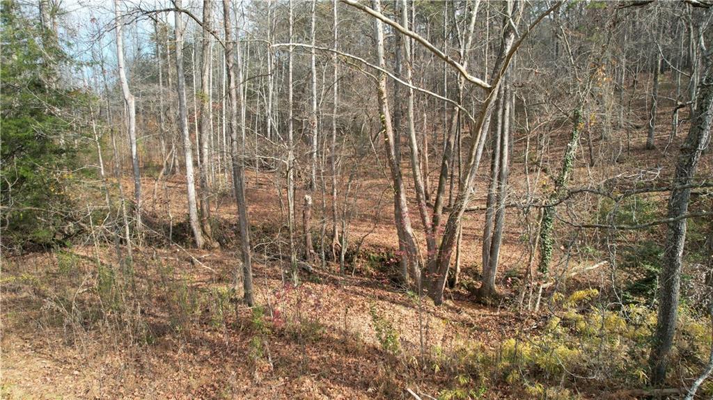 0 Blackburn Tract 3a Road Dawsonville, GA 30534 - Photo 17 of 25 a view of a backyard of the house
