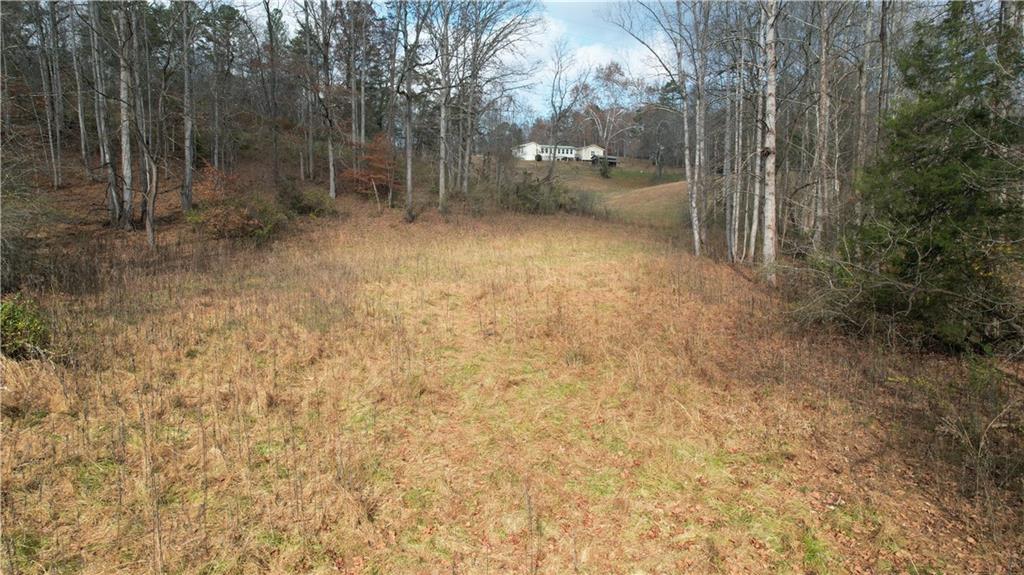 0 Blackburn Tract 3a Road Dawsonville, GA 30534 - Photo 18 of 25 a view of a outdoor space and a yard