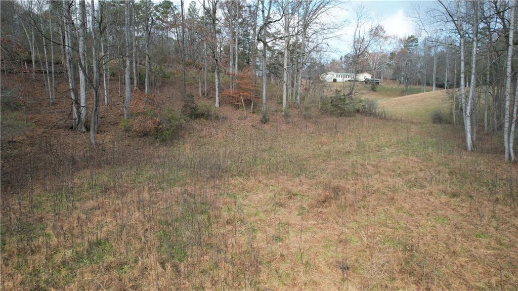 0 Blackburn Tract 3a Road Dawsonville, GA 30534 - Photo 20 of 25 a view of a forest with trees in the background