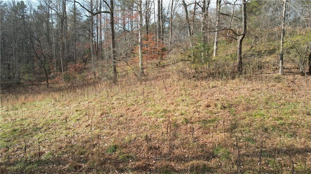 0 Blackburn Tract 3a Road Dawsonville, GA 30534 - Photo 2 of 25 a view of a yard with trees