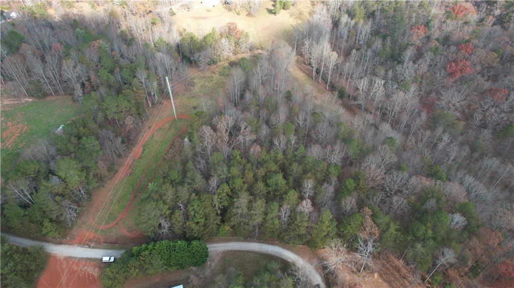 0 Blackburn Tract 3a Road Dawsonville, GA 30534 - Photo 21 of 25 a view of a yard with trees
