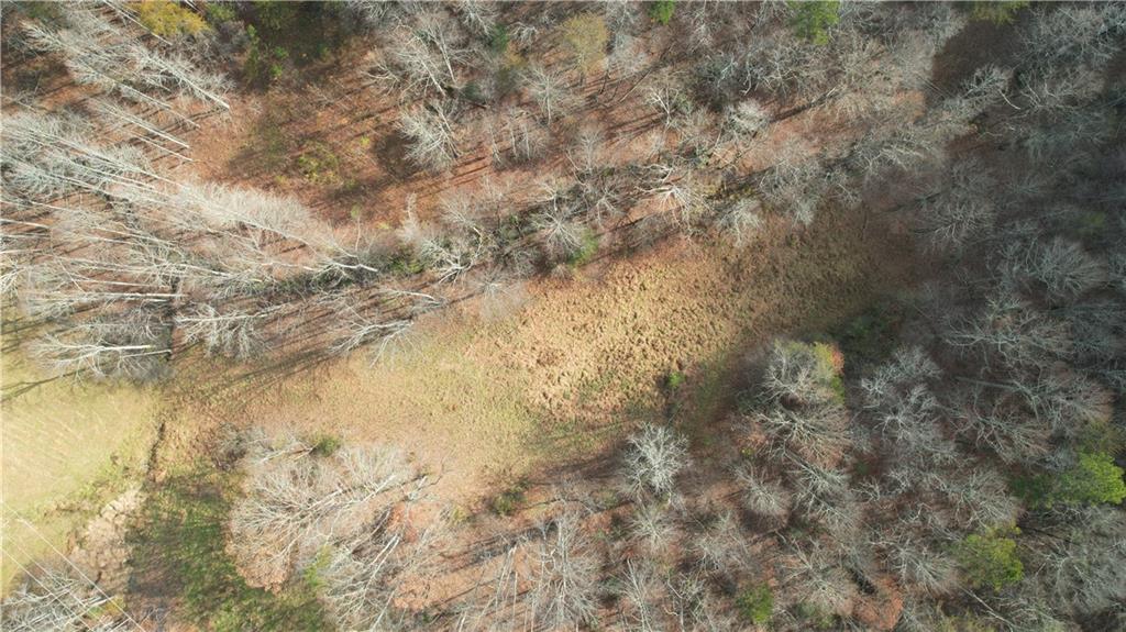 0 Blackburn Tract 3a Road Dawsonville, GA 30534 - Photo 23 of 25 a view of lake with green space