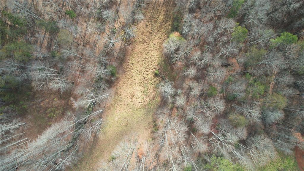 0 Blackburn Tract 3a Road Dawsonville, GA 30534 - Photo 24 of 25 a view of a yard