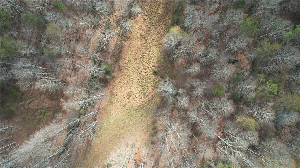 0 Blackburn Tract 3a Road Dawsonville, GA 30534 - Photo 25 of 25