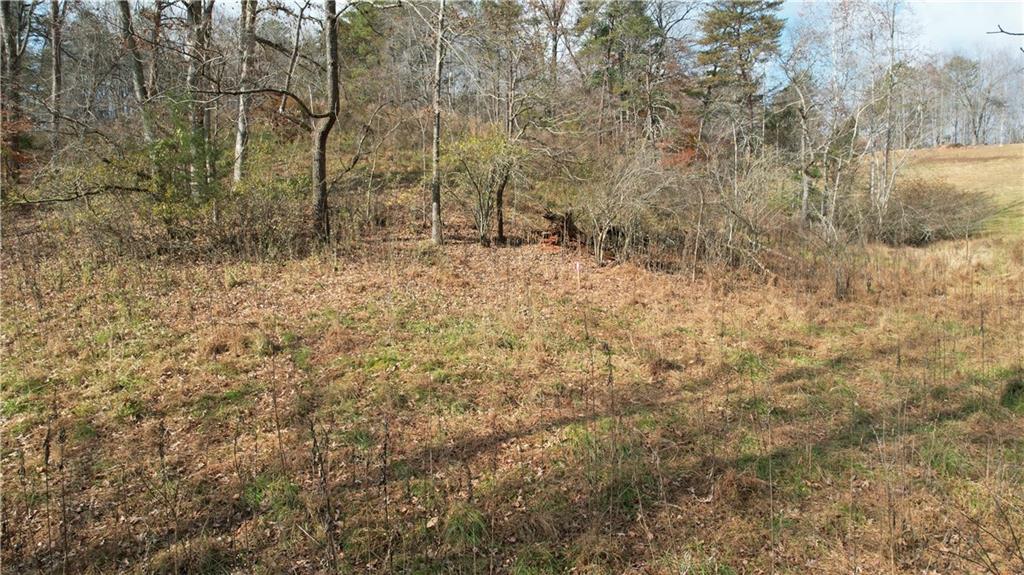 0 Blackburn Tract 3a Road Dawsonville, GA 30534 - Photo 3 of 25 a view of a dry yard with trees