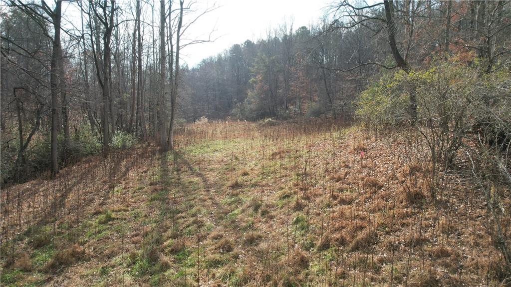 0 Blackburn Tract 3a Road Dawsonville, GA 30534 - Photo 4 of 25 a view of a yard with trees in the background