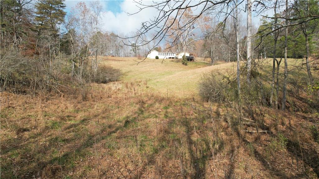 0 Blackburn Tract 3a Road Dawsonville, GA 30534 - Photo 5 of 25 a view of yard covered with snow