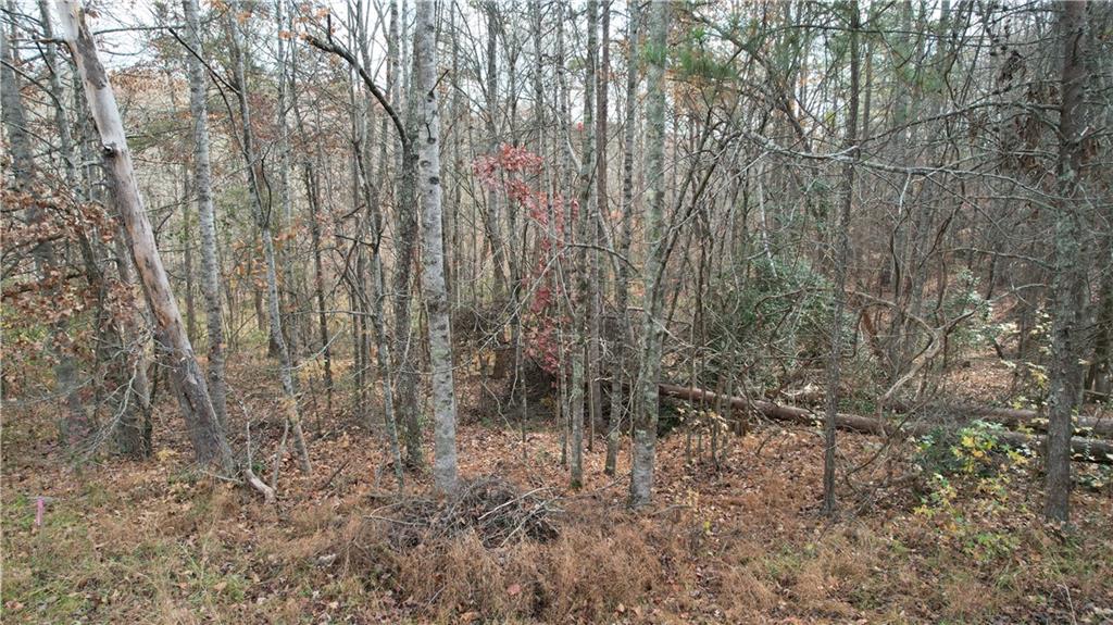 0 Blackburn Tract 3a Road Dawsonville, GA 30534 - Photo 7 of 25 a backyard of a house with lots of green space
