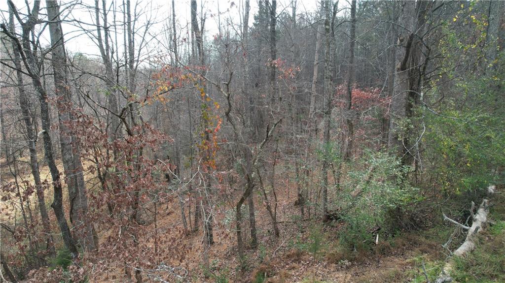 0 Blackburn Tract 3a Road Dawsonville, GA 30534 - Photo 10 of 25 a view of a forest with trees in front of it