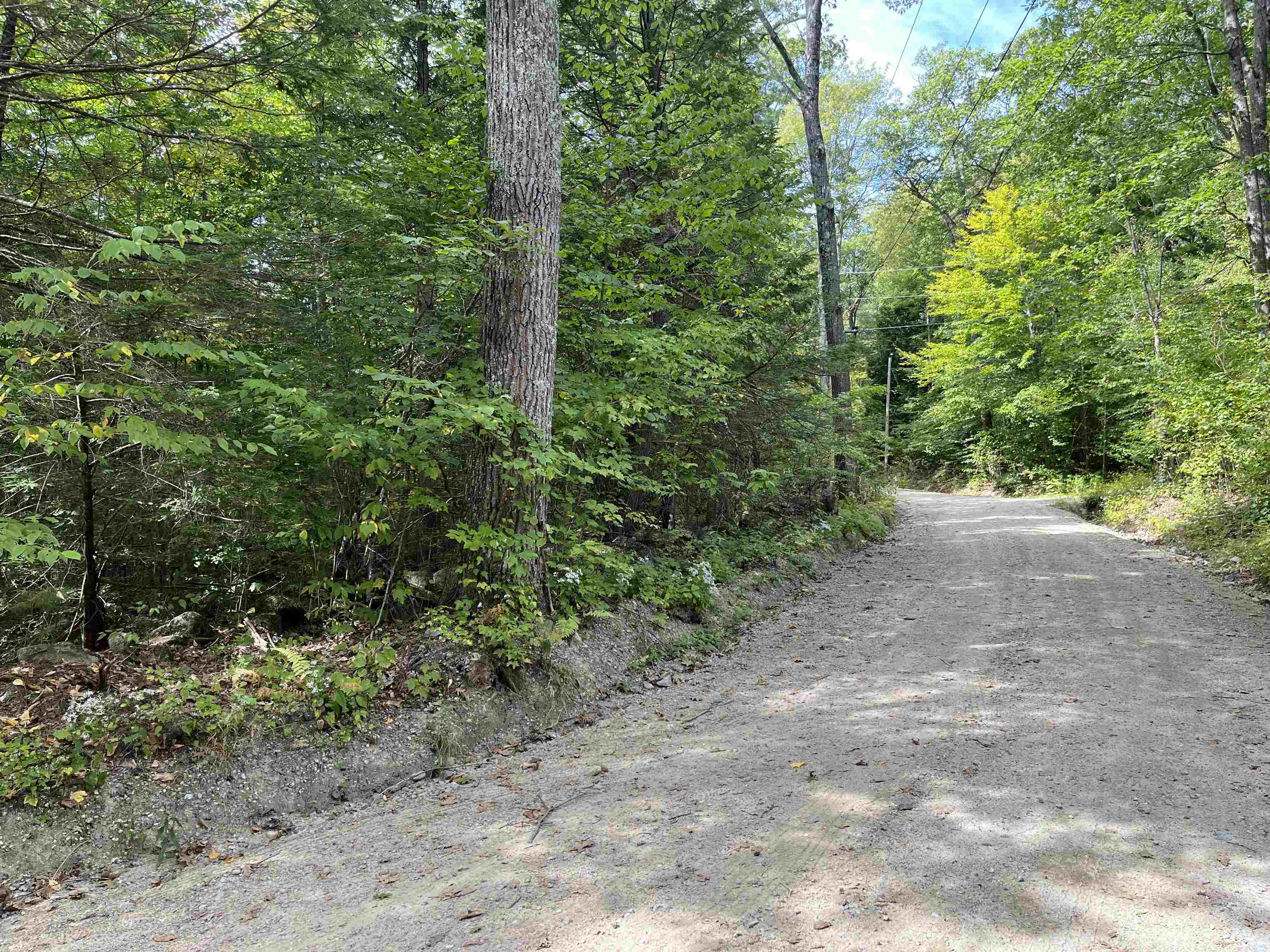 Whiton Road Antrim, NH 03440 - Photo 5 of 6