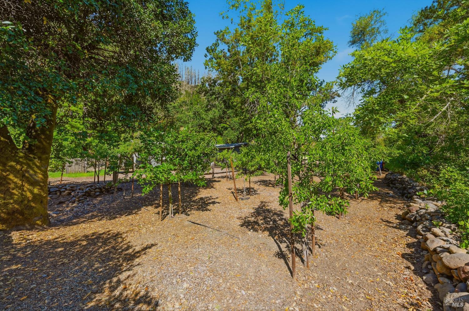 471 Crystal Springs Road St. Helena, CA 94574 - Photo 26 of 31