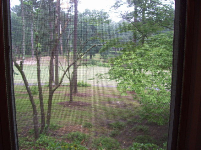 9 Inverness Street West Aiken, SC 29803 - Photo 13 of 15 View from Master BR