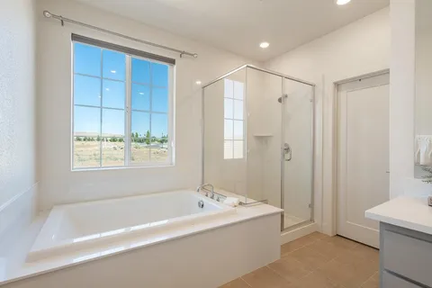 a bathroom with a bathtub and a shower