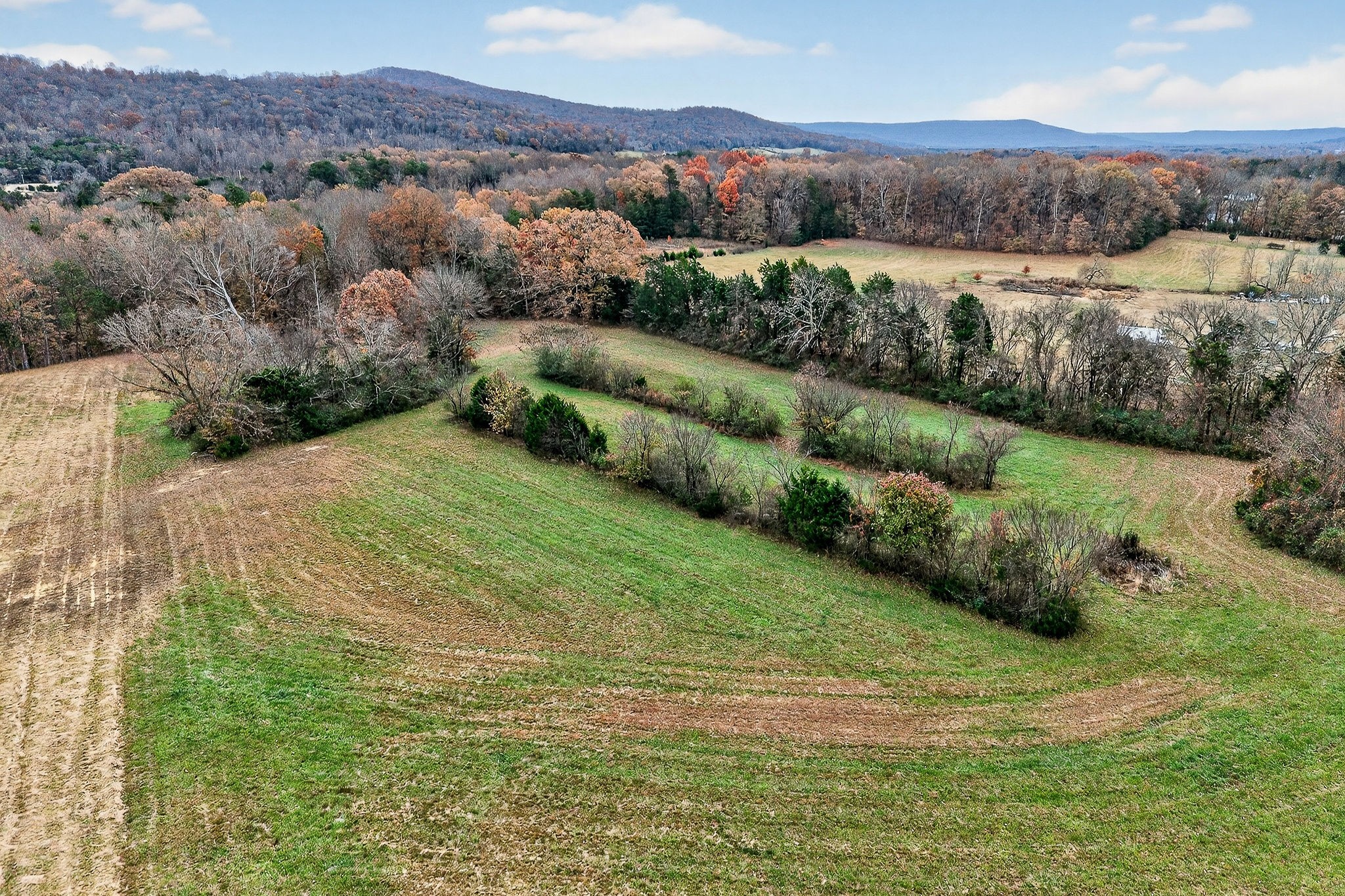 808 Bugger Ridge Road McMinnville, TN 37110 - Photo 9 of 51 Gallery Image 9