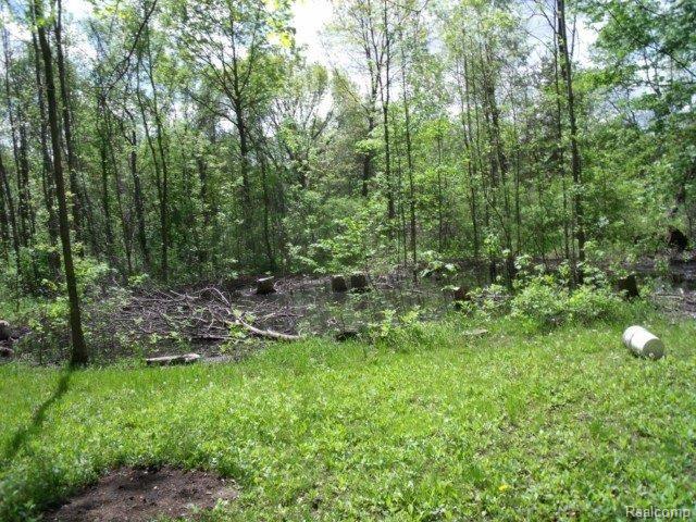6173 West Beard Road Perry, MI 48872 - Photo 14 of 14 Spring Pond