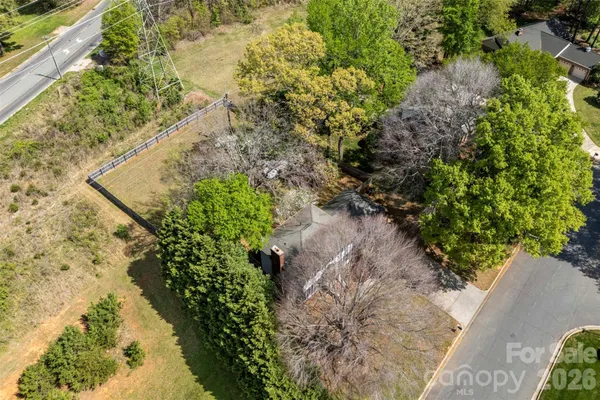 a plant that is in a garden