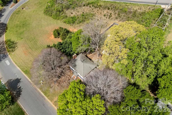 a view of a garden with plants