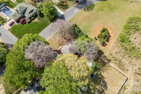 a view of a yard with plants