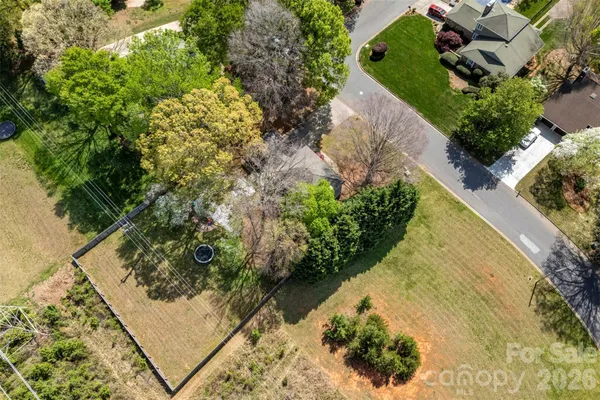 a view of a yard with plants