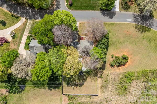 a view of a garden with plants