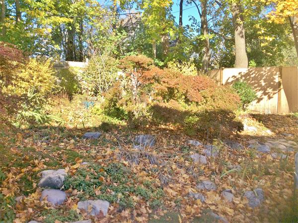 27 Somerset Road Brookline, MA 02445 - Photo 8 of 9