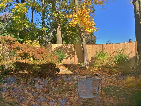 27 Somerset Road Brookline, MA 02445 - Photo 9 of 9