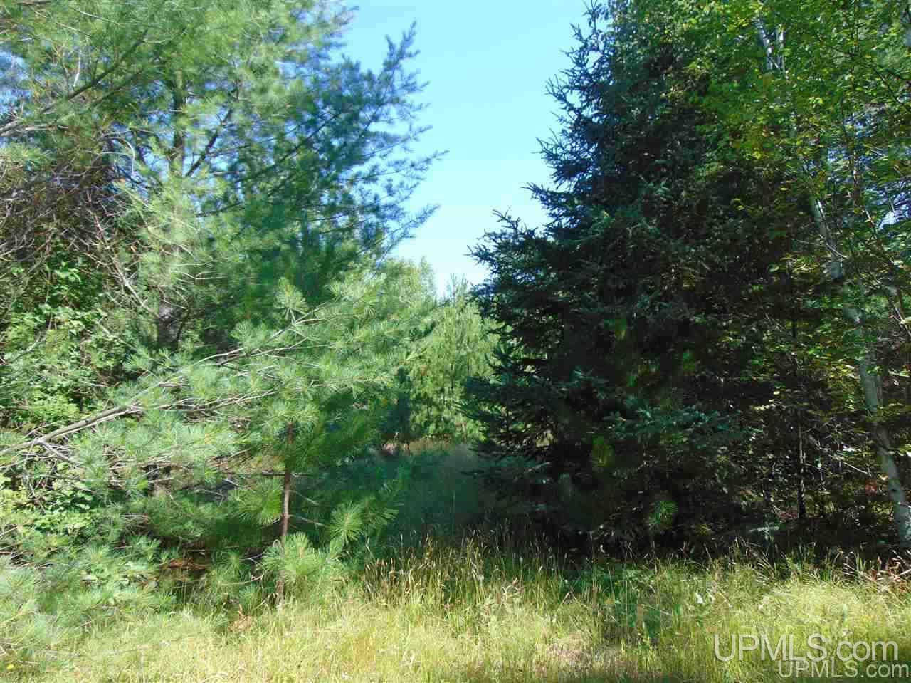 Tbd Gregoire Road Lake Linden, MI 49945 - Photo 10 of 11 Gallery Image 10