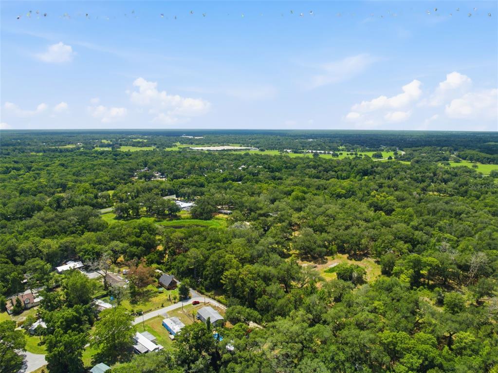 3183 Cedley Road Dade City, FL 33523 - Photo 37 of 48