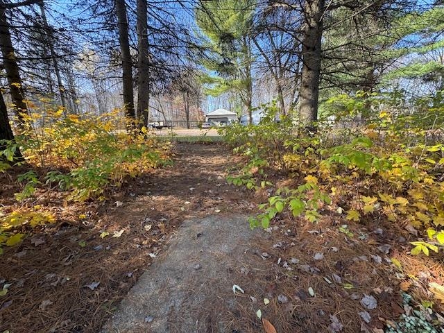 488 Autumn Road Cadillac, MI 49601 - Photo 31 of 34