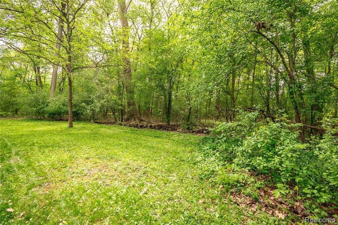 6145 Idlewyle Road Bloomfield Hills, MI 48301 - Photo 28 of 31 Another view of the backyard. Plenty of room to work with for an addition or new house if desired.