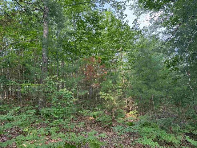 $199,000 | 8355 Half Moon Lake Drive, Iron River, WI 54847