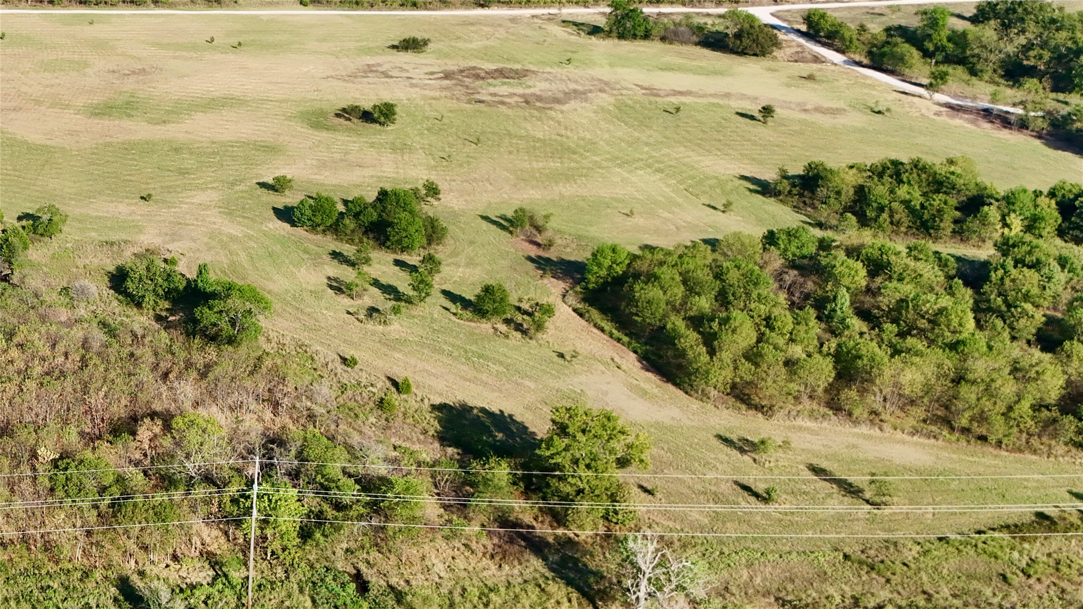 Perfect mixture of mature trees and open land