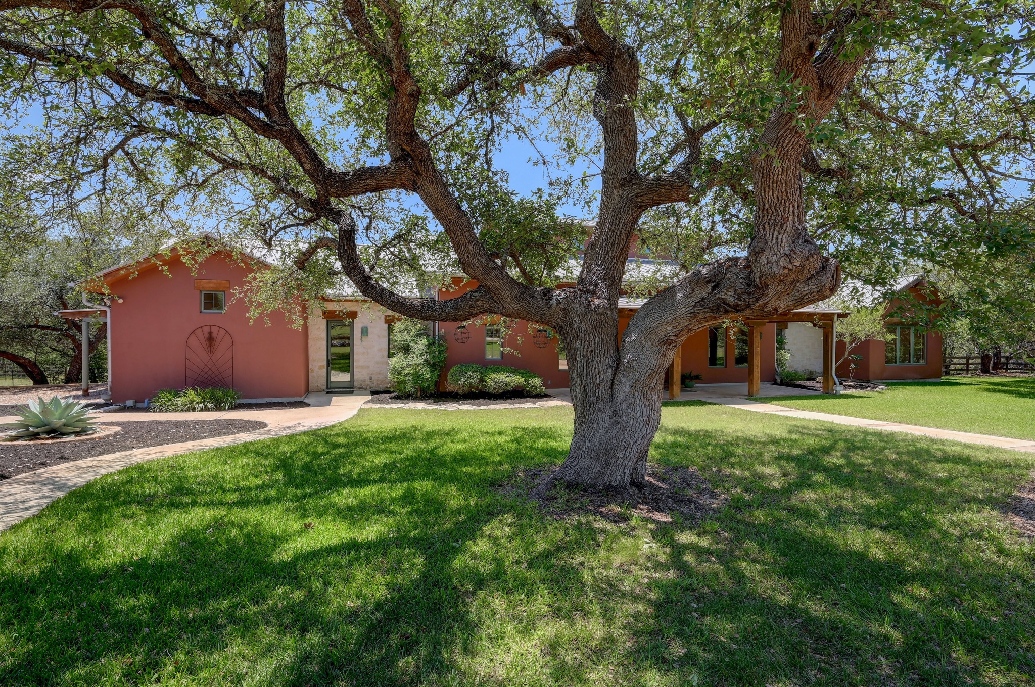 a tree in the garden of the house