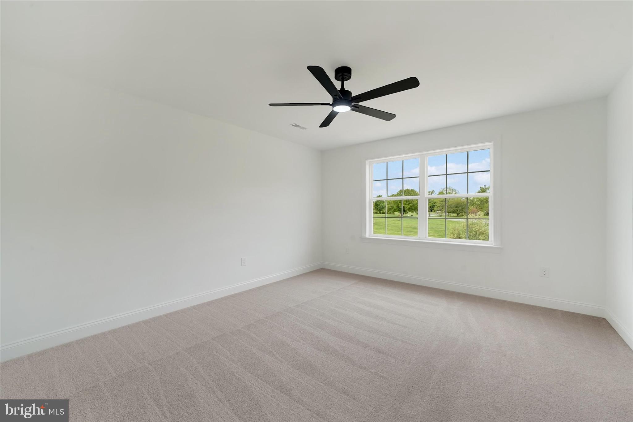 109 Knightsbridge Road Middletown, DE 19709 - Photo 31 of 46 PRINCESS SUITE!